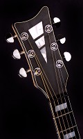 Brauer Grand Cutaway Master