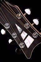 Brauer Grand Cutaway Master
