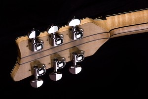 Brauer Grand Cutaway Master