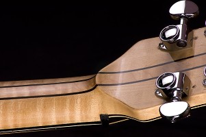 Brauer Grand Cutaway Master