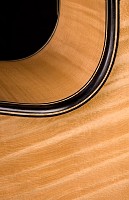 Brauer Grand Cutaway Master