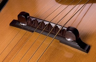 Brauer Grand Cutaway Master