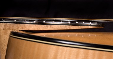 Brauer Grand Cutaway Master