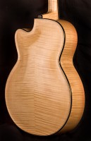 Brauer Grand Cutaway Master