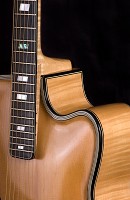Brauer Grand Cutaway Master