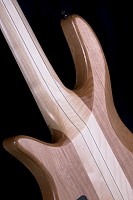 Bass 5