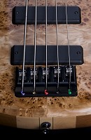 Bass 5