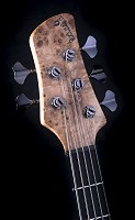 Bass 5