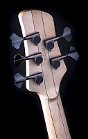 Bass 5