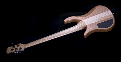 Bass 5