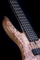 Bass 5