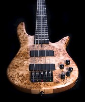 Bass 5
