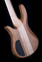 Bass 5