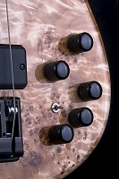 Bass 5