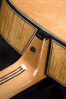 Brauer 465A Parlor