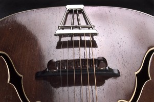 Brauer Cremona 465