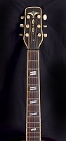 Cremona 463 Custom