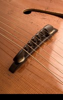 Brauer Grand Pilar
