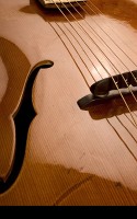 Brauer Grand Pilar