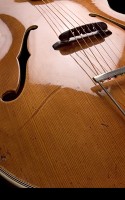 Brauer Grand Pilar