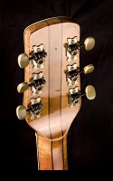 Brauer Grand Pilar