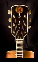 Brauer Grand Pilar