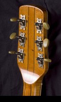 Brauer Grand Pilar