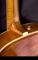 Brauer Grand Pilar