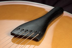 Jazz Acoustic 17
